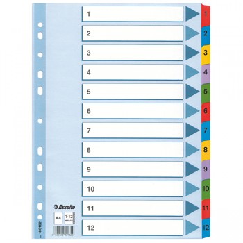 Zesílené kartonové rejstříky Esselte Mylar, A4 Mix barev 1-12